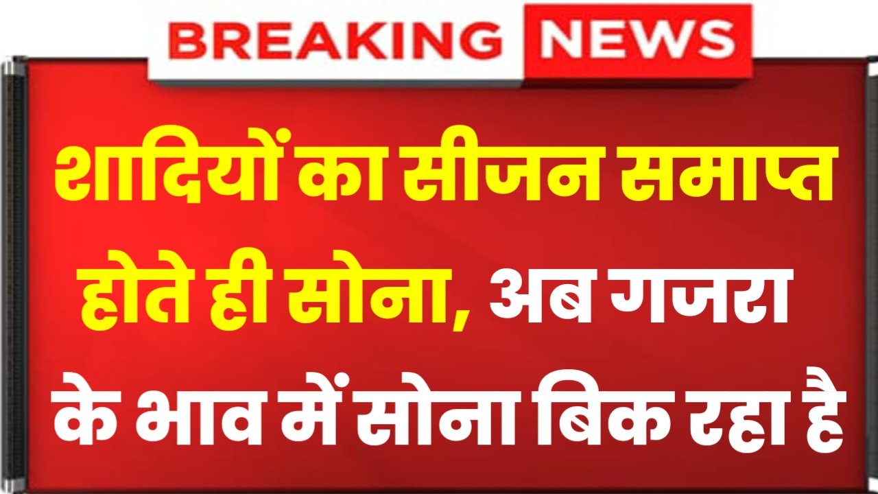 Gold Price: शादियों का सीजन समाप्त होते ही सोने कीमत में आई भारी गिरावट, अब गजरा के भाव में सोना बिक रहा है